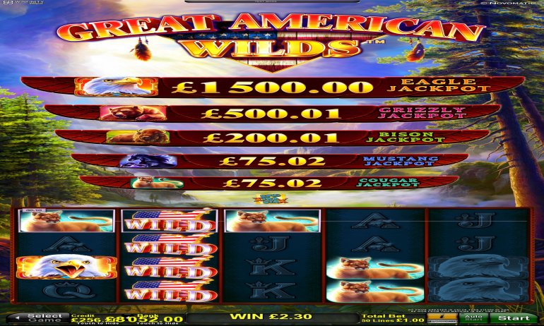 GreatAmericanWilds_Win